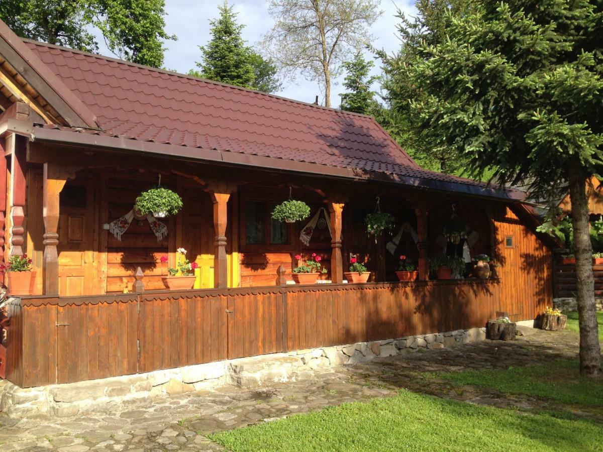 Pensiunea Turlas Maria Salistea de Sus Zewnętrze zdjęcie
